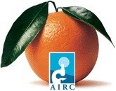 Arance per la ricerca, l'AIRC ė in piazza a Ellera