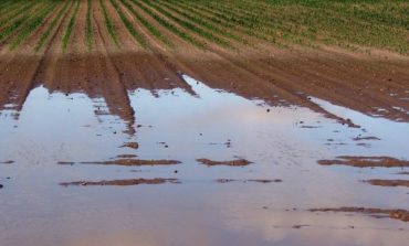 Contributi per danni alluvione 2012: a Corciano due domande presentate in ritardo, una ammessa