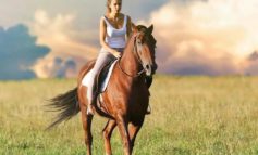 Alla scuderia dell'Unicorno corsi per Assistenti di Equitazione Integrata EQUITABILE®