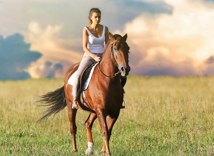 Alla scuderia dell'Unicorno corsi per Assistenti di Equitazione Integrata EQUITABILE® 