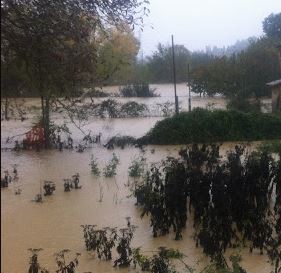 Cattura photo In Regione Question Time anche sul torrente Caina