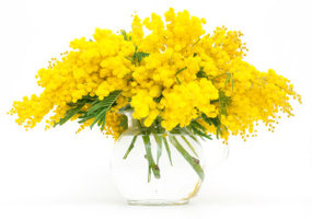 shutterstock_72922387