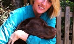 Veterinario a domicilio: la Dott.ssa Chiatante visita a Corciano e Perugia