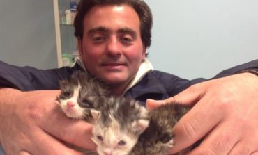 Gattini trovati nella spazzatura salvati da operatore Gesenu, ora in adozione a San Mariano