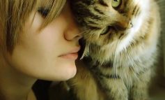 Il tuo gatto ti ama? 10 segnali per scoprirlo