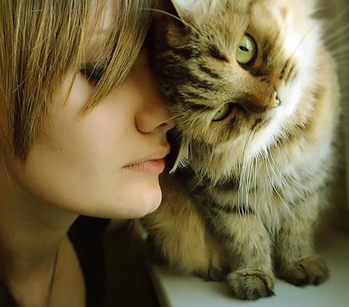 Il tuo gatto ti ama? 10 segnali per scoprirlo