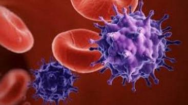 aids photo Aids: Federfarma, 48 casi Hiv in Umbria nel 2014
