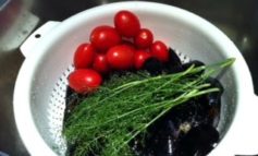 Zuppa di cozze al finocchietto selvatico