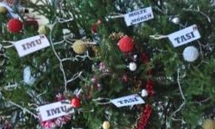 “Dall'estero allo spazio", Argenio risponde alle dichiarazioni del sindaco Betti