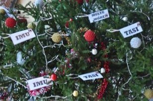 albero tasse 2 photo “Dall’estero allo spazio”, Argenio risponde alle dichiarazioni del sindaco Betti