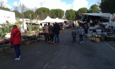 Mercato del Girasole, domenica decine di bancarelle dove trovare l'affare
