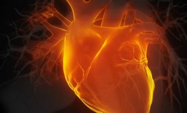 In ricordo dello scienziato corcianese Dario Maestrini, un convegno sullo scompenso cardiaco