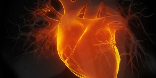 In ricordo dello scienziato corcianese Dario Maestrini, un convegno sullo scompenso cardiaco 