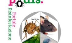 Insetti, topi infestazioni: nasce PODIS il portale per aiutare i cittadini