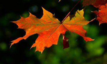 Ore contate per il caldo record di questi giorni, l'autunno è in arrivo