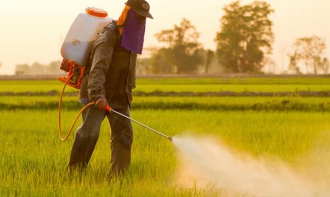 Pesticidi e glifosato: il Movimento 5 Stelle chiede l’adeguamento del regolamento comunale