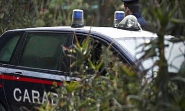Anziano cerca funghi e si perde nei boschi della Trinità