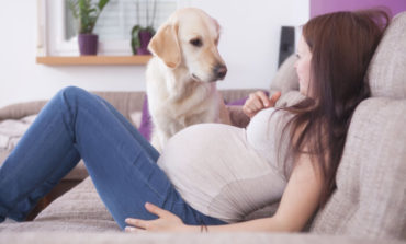Aspetto un bambino, come devo comportarmi con il mio animale domestico?