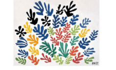 Laboratori per bambini: "Il giardino di Matisse" alla biblioteca Rodari