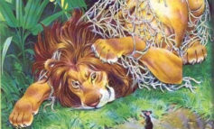 Alla Biblioteca Rodari continuano le letture ad alta voce con "Il Leone e il Topolino"