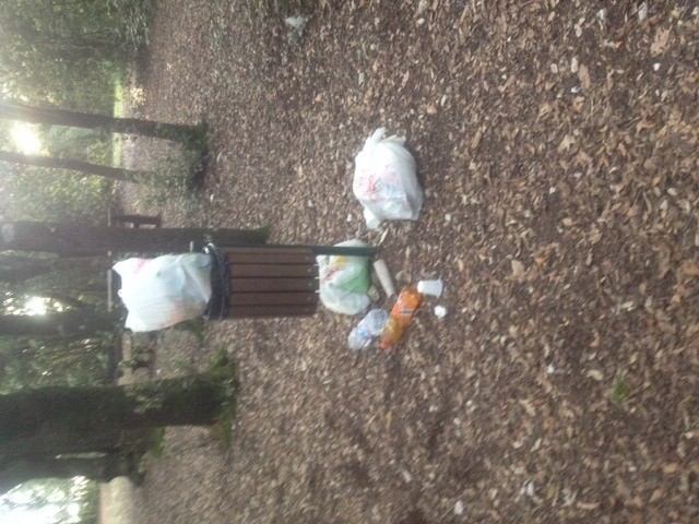 I postumi della festa al Parco, i residenti: 