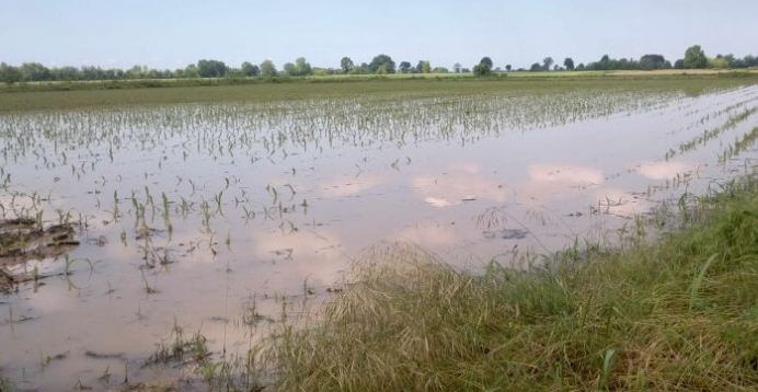 Maltempo, Coldiretti Umbria: 