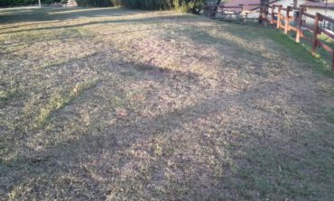 San Mariano, i giardini del Castello in pessime condizioni: l'impianto di irrigazione non funziona