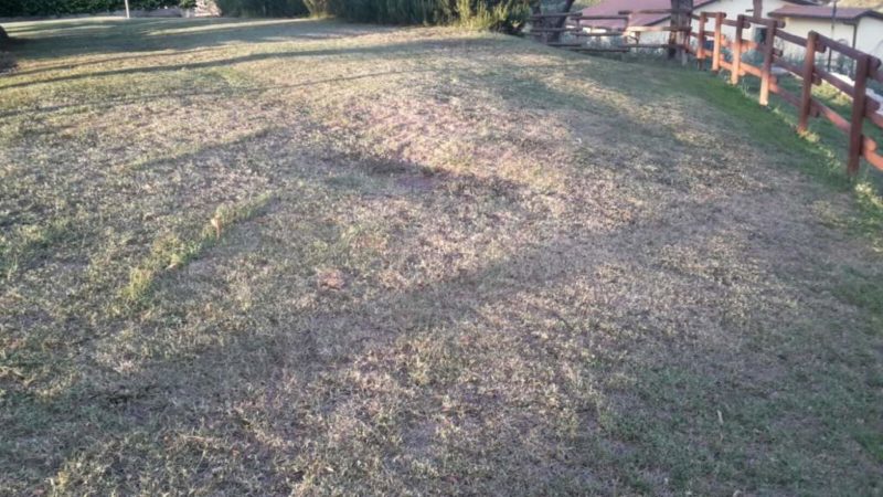 San Mariano, i giardini del Castello in pessime condizioni: l'impianto di irrigazione non funziona 3