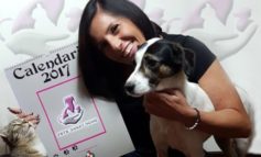 Alla Rodari la presentazione del Calendario 2017 dell’Associazione Pets’ Sweet Home Perugia