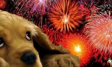 La LAV si appella ai sindaci del perugino: "Vietate i botti a Capodanno"