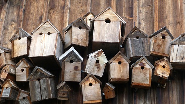“Cibo per gli uccellini” lettura e labortatorio per costruire una mangiatoia da giardino