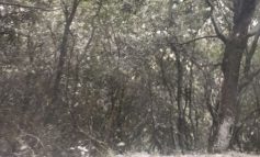 Prima nevicata dell'inverno, i fiocchi raggiungono anche il corcianese