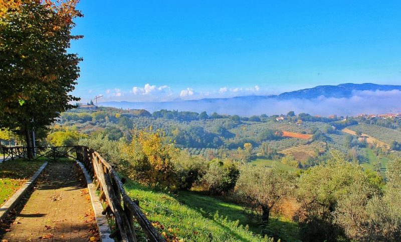 Agriturismi in ginocchio, la CIA lancia l'allarme: 