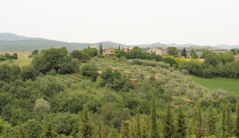 Turismo, da Cucinelli, Bocci e Spagnoli: 