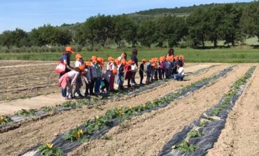 Le scuole a lezione di orticultura: le visite agli Orti Sociali del Comune