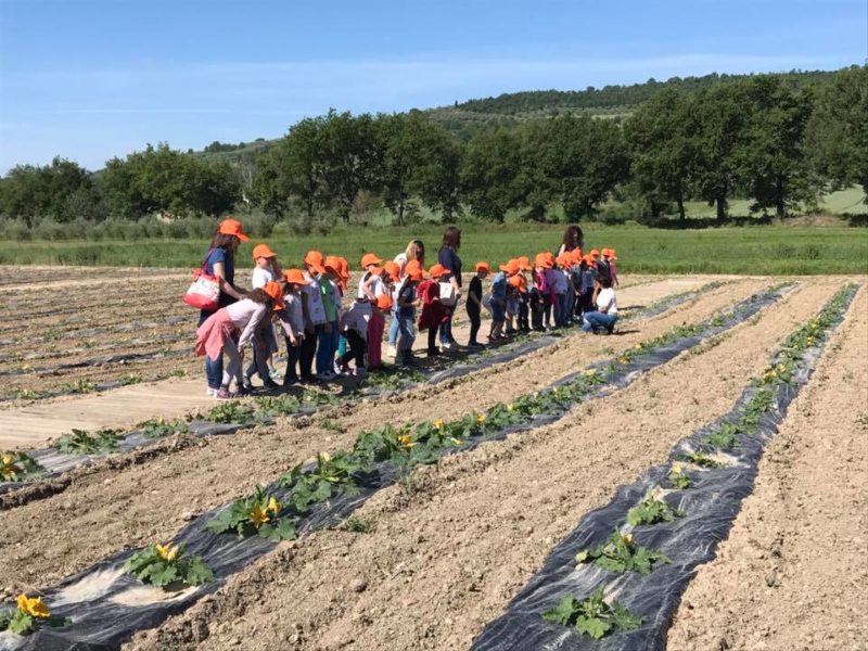 Le scuole a lezione di orticultura: le visite agli Orti Sociali del Comune 1
