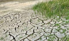 Caldo record a giugno, l'allarme di Coldiretti per la siccità