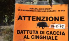 Caccia al cinghiale sul Colle della Trinità