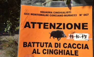 Caccia al cinghiale sul Colle della Trinità