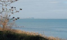 "Sani e forti" anche con il pesce del Trasimeno: nuovi piatti alle mense di Corciano