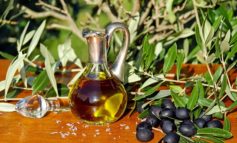 Olivagando: a Magione premiati i produttori del Trasimeno e di Corciano