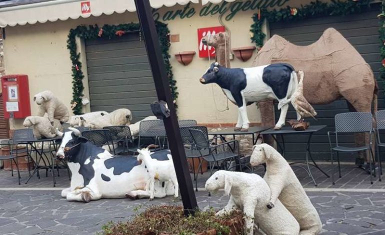 Bravata natalizia nel borgo: spostate le grandi statue del Presepe