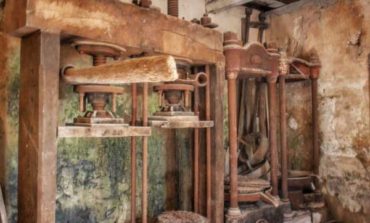 Pane Vino e Olio: ecco la foto vincitrice del Premio Fotogiornalistico "Corcianonline"