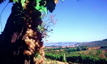 Apre Corciano Castello di Vino: anticipato a stasera il live Discomusic ‘70 ‘80 ‘90 ‘00