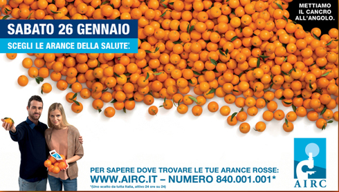 Le arance dell’AIRC contro il cancro, ecco dove si trovano a Corciano