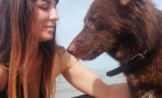 Francesca Paxia, l'angelo dei cani maltrattati o in difficoltà