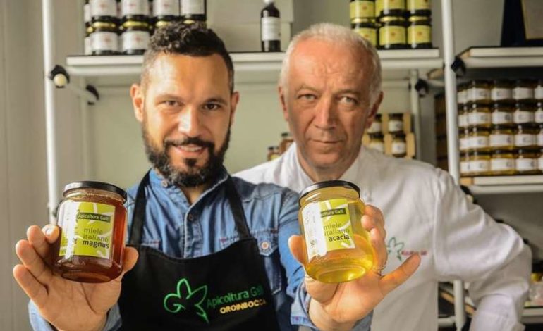 Uno dei migliori mieli al mondo è prodotto a Corciano: l’Apicoltura Galli sbanca al “London Honey Awards”