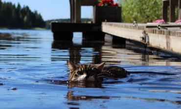 Arriva il caldo record: in Umbria temperature prossime ai 40 gradi