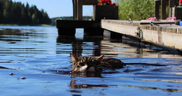 Arriva il caldo record: in Umbria temperature prossime ai 40 gradi