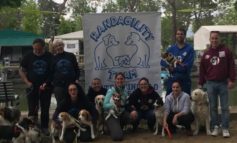 Agility Dog: nasce un nuovo centro cinofilo a Castelvieto